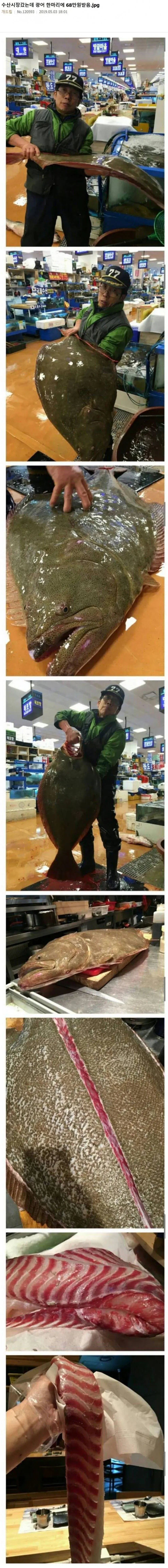 68만 원짜리 광어... 지금 봐도 레전드 ㄷㄷ