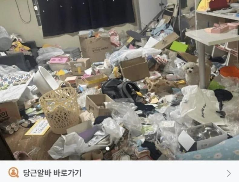 살려달라는 당근녀 1