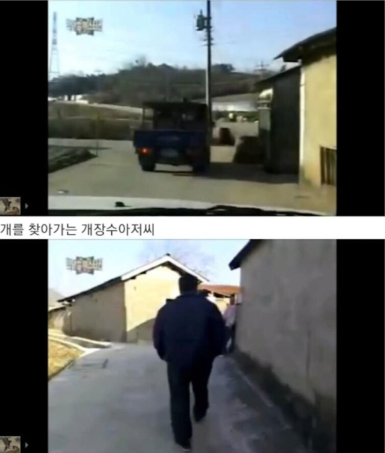 개는 개장수를 알아본다 1