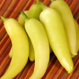 이름처럼 달콤한 '바나나고추' 1