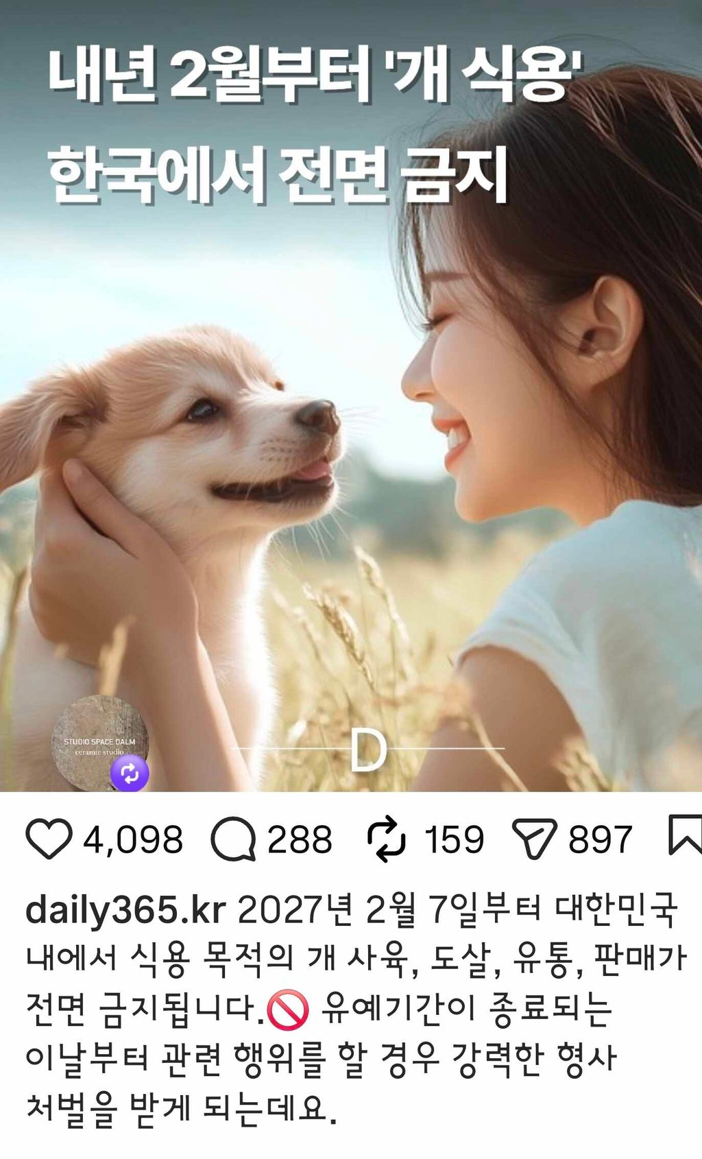 식용개 2월부터 전면 금지