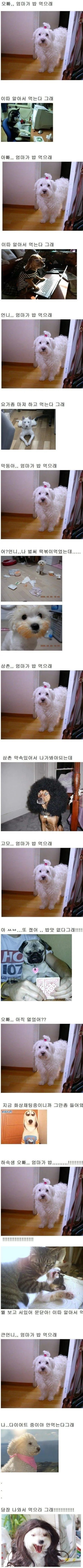 오빠... 엄마가 밥 먹으래