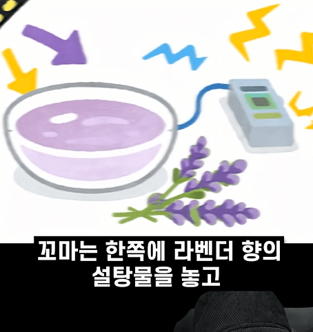 후천적 기억도 유전될 수 있다고??? 9