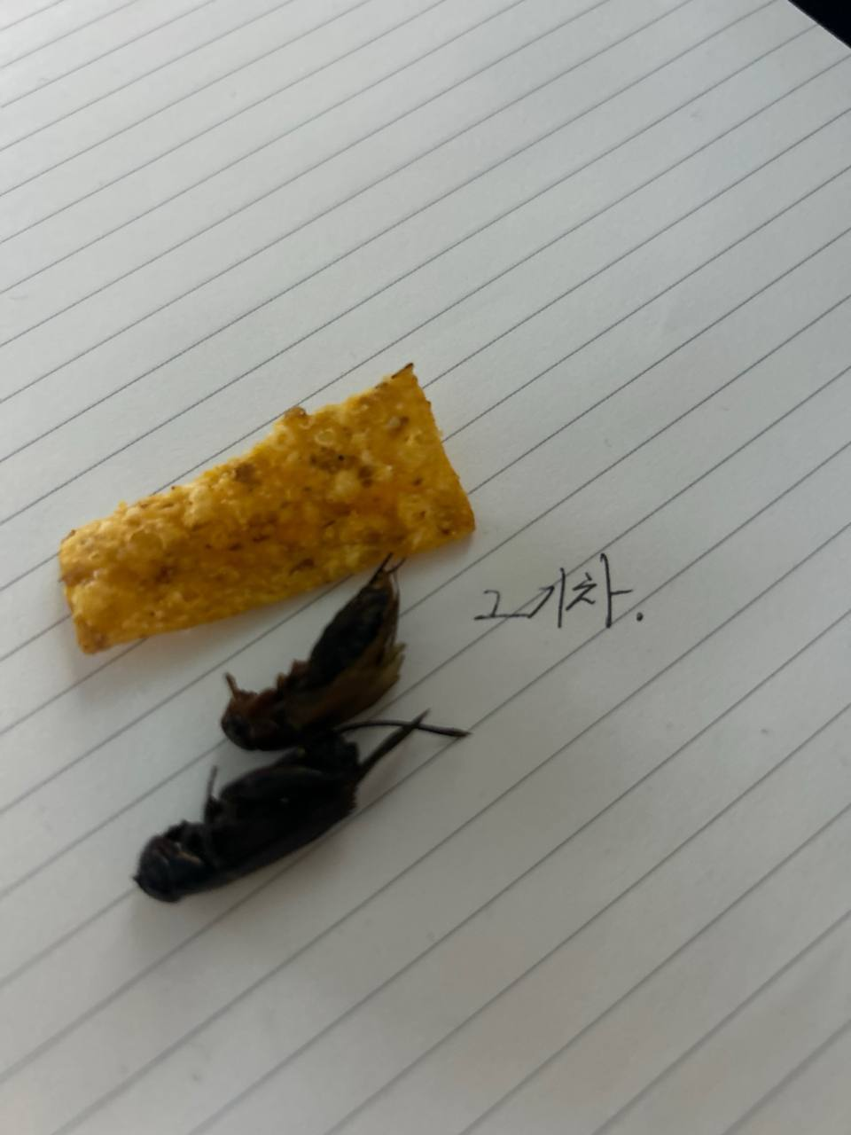 귀뚜라미 인증