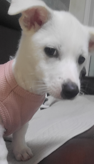 어우 이 사고뭉치자식