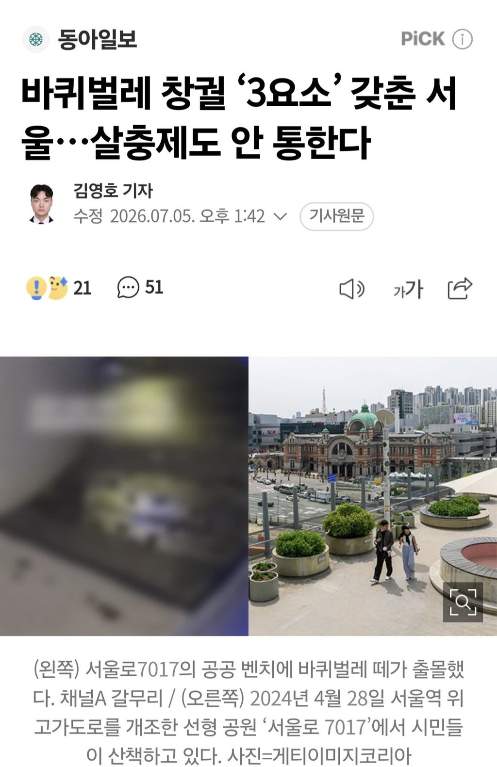 바퀴벌레 창궐 ‘3요소’ 갖춘 서울…살충제도 안 통한다 1