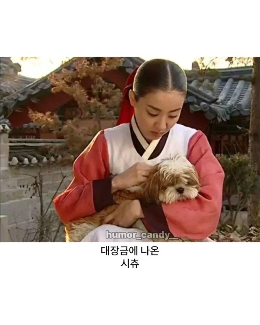 의외로 조선시대에도 있던것 3