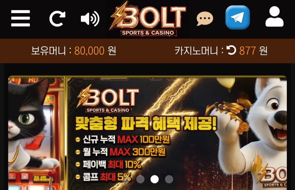볼트카지노 후기