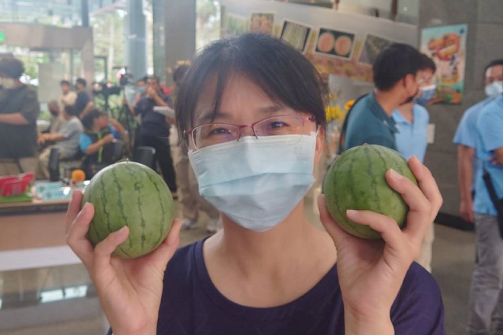 세계에서 제일 작은 수박 품종 2