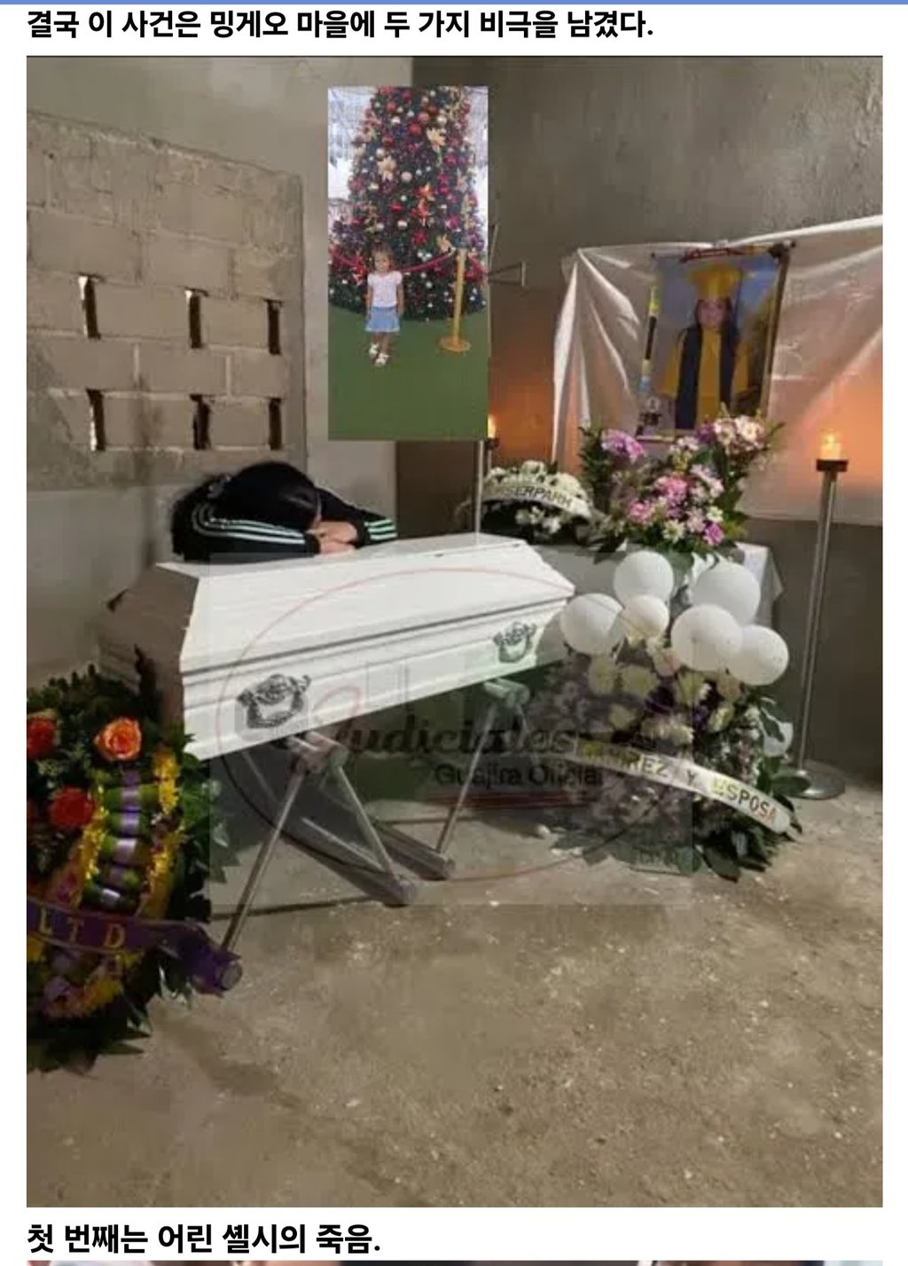 밍게오 마을 3세 여아 살인사건 20