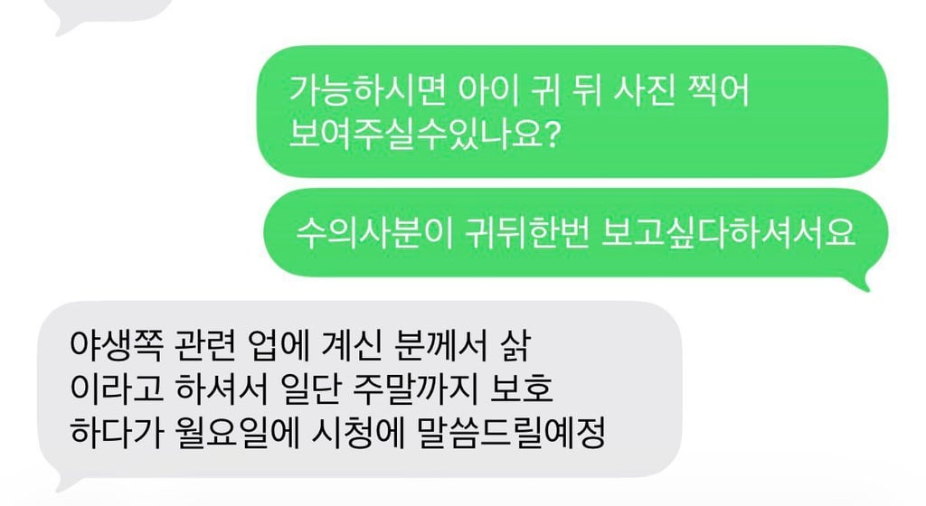 동물 보호센터에온 아무리 봐도 고양이가아님 2