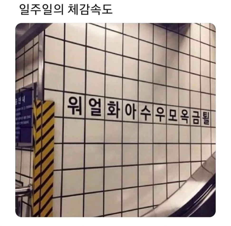 ㅋㅋ 일주일 체감 속도