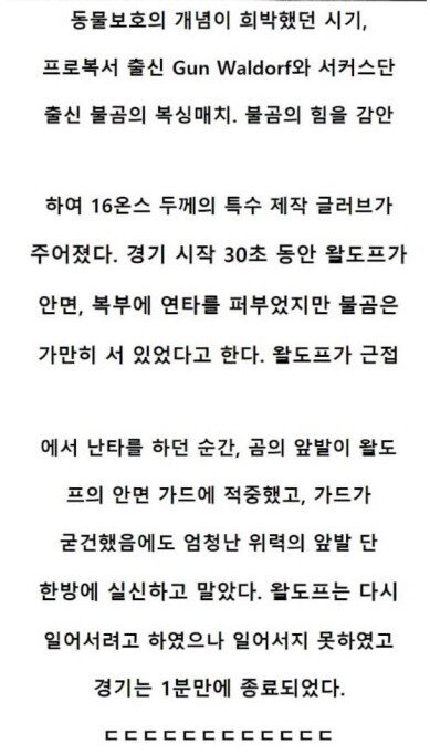 1949년 프로복서 출신 vs 서커스단 출신 불곰 복싱매치 1