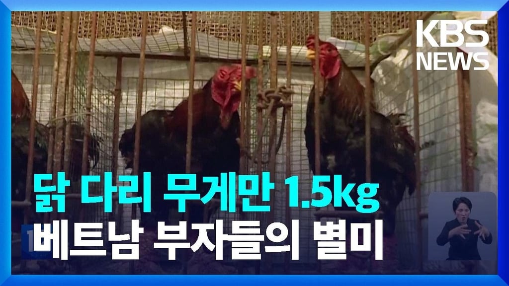베트남 부자들의 별미 1