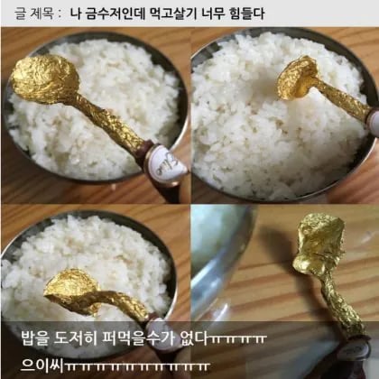 금수저인데 너무 먹고 살기 힘들다