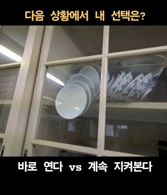 형들의 선택은?