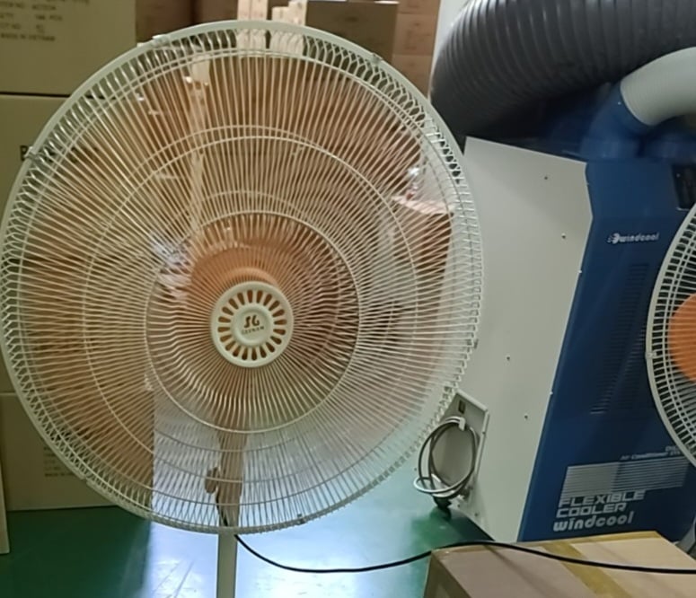 이게 최고야