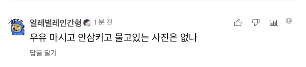 얼레벌레인간형이 요청한 사진 1