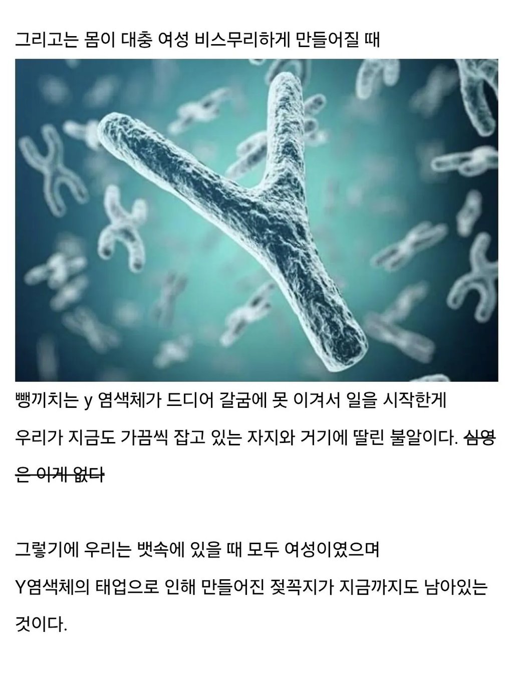 남자에게 젖꼭지가 달린 이유 3