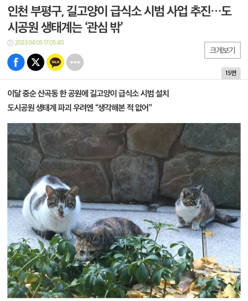 세금으로 멸종위기종 맹꽁이서식지에 고양이급식소 설치 3