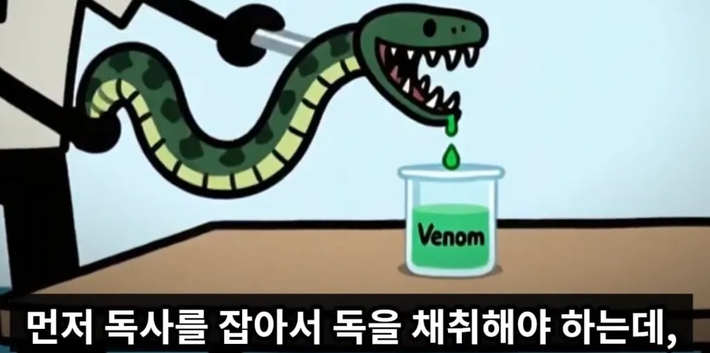 독사에게 물려 매년 10만명 이상 죽는 이유 3