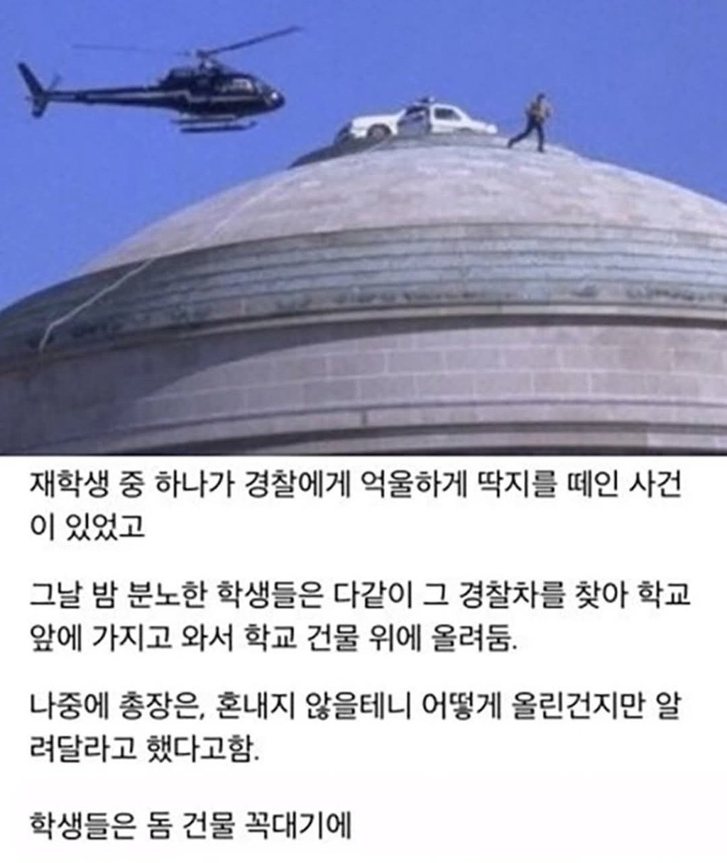 경찰에 복수한 mit공대