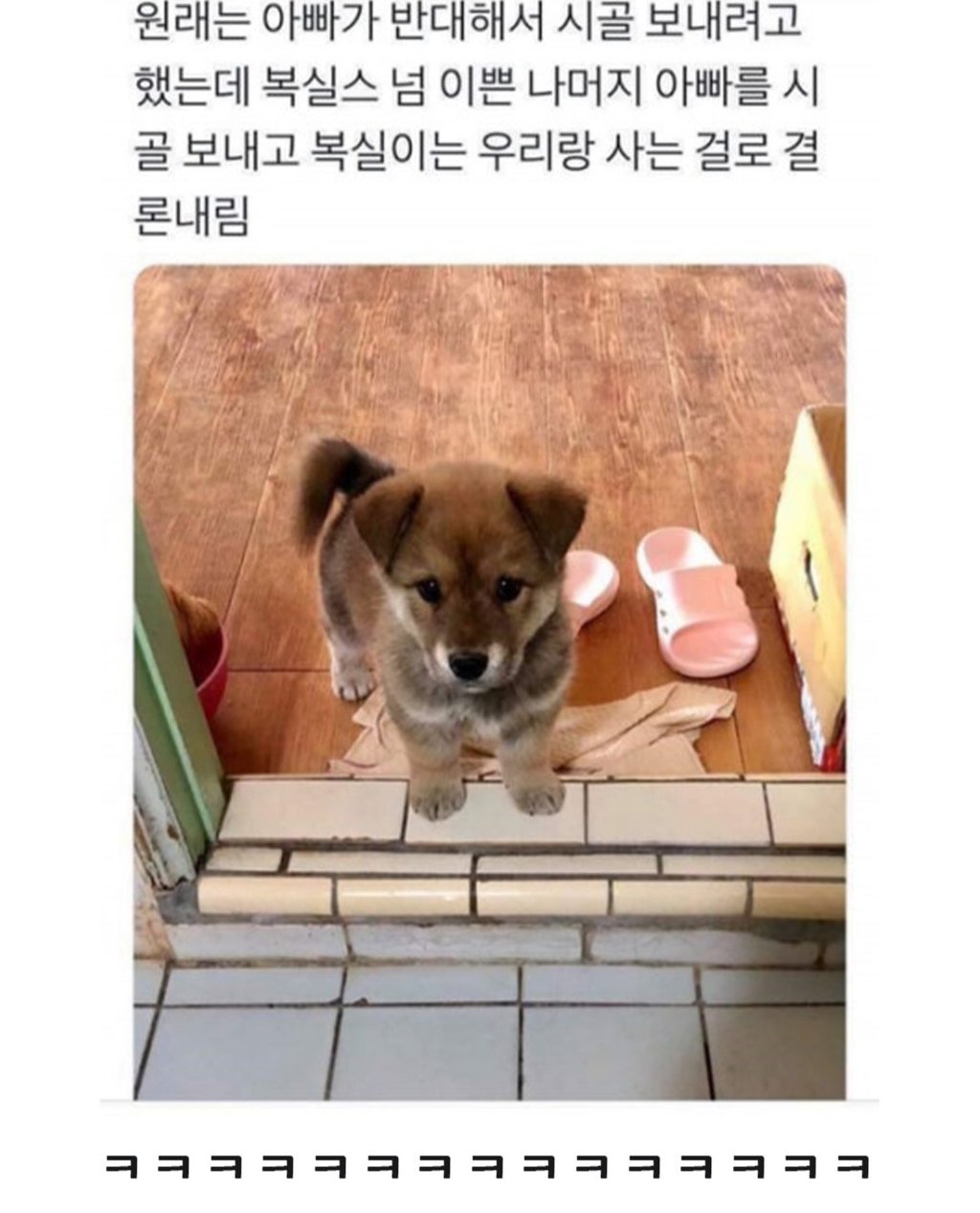 무시무시한 대한민국 시골 10