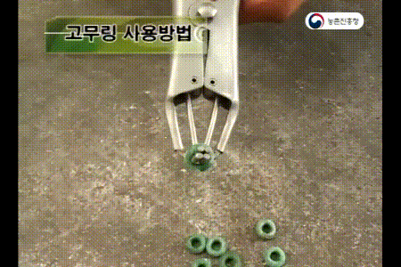 고무링 사용법