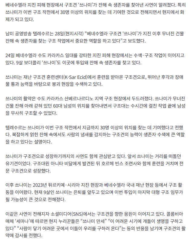 베네수엘라 지진 현장에 나타난 네발 영웅…구조견 ‘쓰나미’ 활약 2