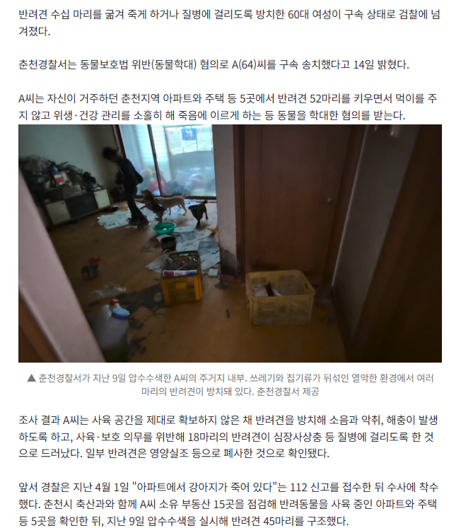 [속보] 춘천서 반려견 52마리 방치해 굶겨 죽인 60대 구속 송치 2