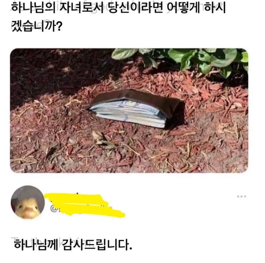 하나님의 자녀로서 어떻게 하시겠습니까??