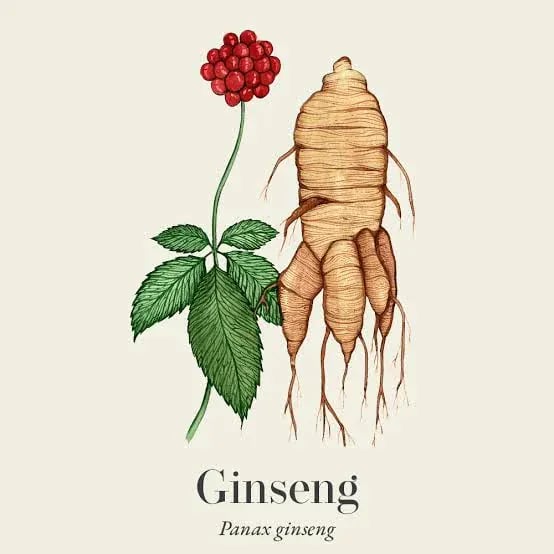 상평통보 이전에 조선 화폐 4