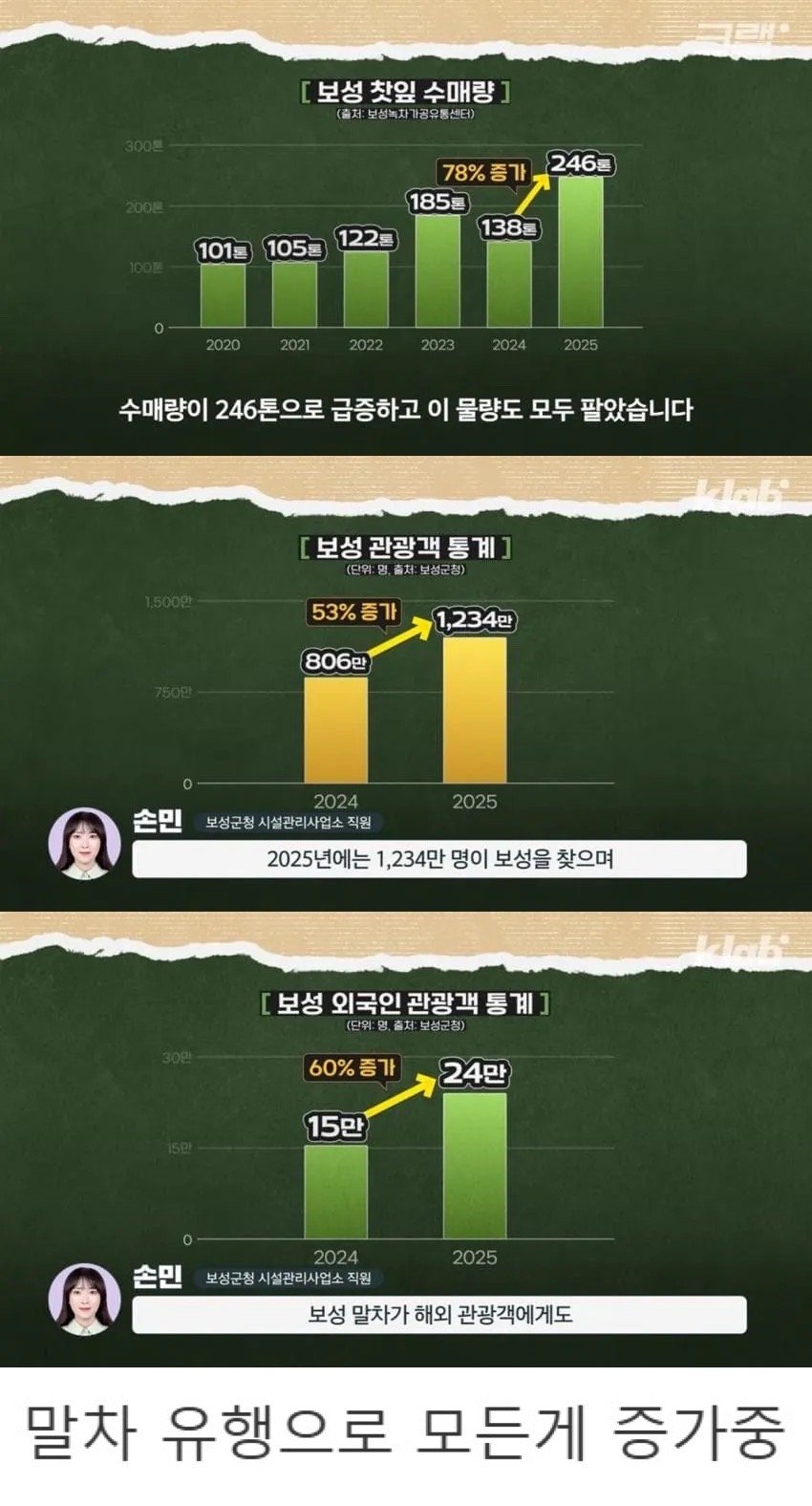 녹차로 유명한 보성 현재 상황