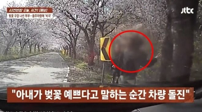남편 "2초 만에 아내 잃었다"…벚꽃 보던 40대 부부 덮친 음주운전 차량 2
