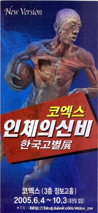 혐주의) 현대사회에선 절대 전시 불가능했을 전시전 ㄷㄷ 3