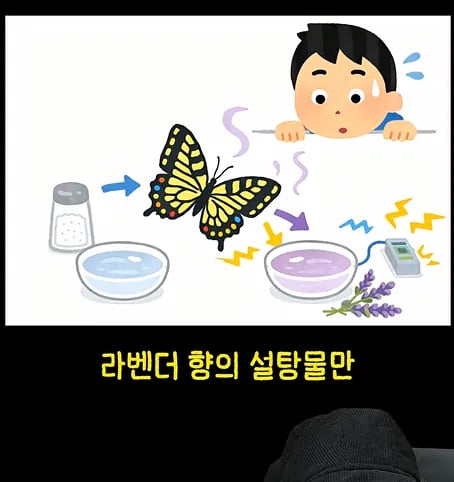 후천적 기억도 유전될 수 있다고??? 13
