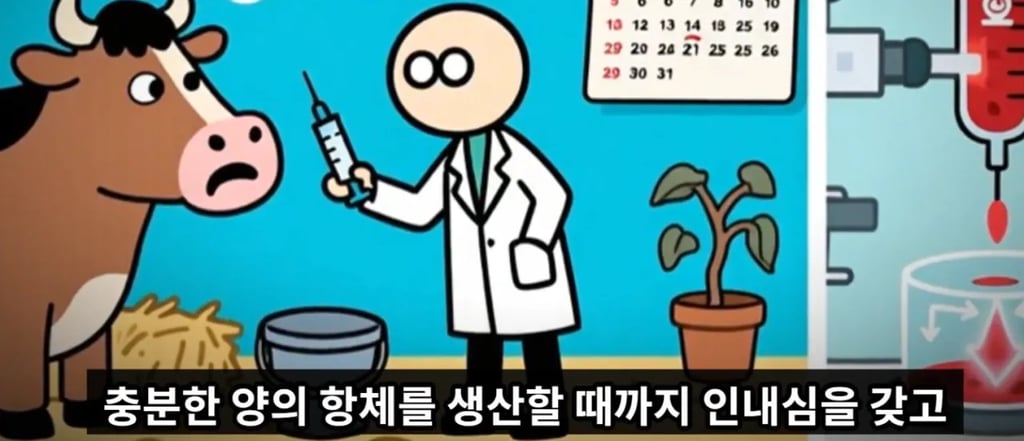 독사에게 물려 매년 10만명 이상 죽는 이유 7