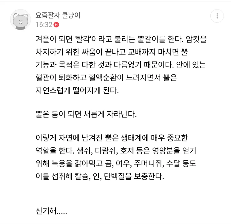 존나게 엄청 신기한 북미 사슴 4