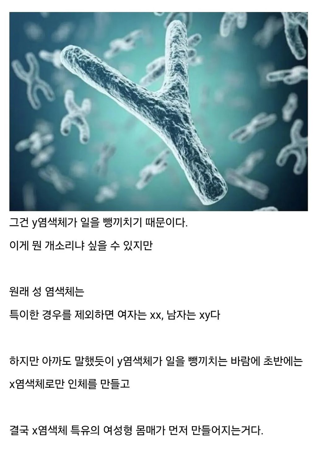 남자에게 젖꼭지가 달린 이유 2
