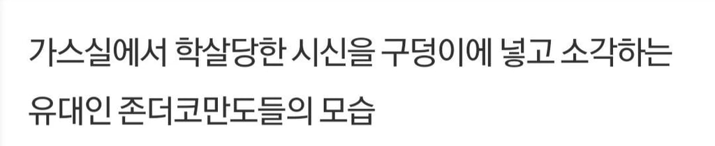 약혐) 아우슈비츠 가스실 주변에서 일어나는일을 촬영한 유일한 사진 5