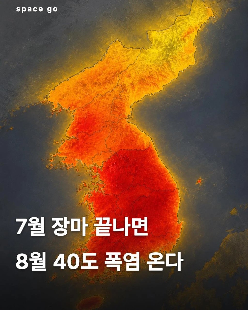 8월 진짜 ㅈ됨... 1