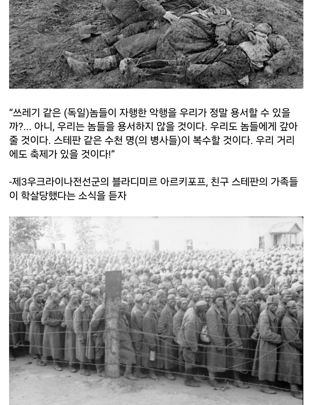 독소전쟁 소련군이 얼마나 개빡쳤었는지 보여주는 어록들 13