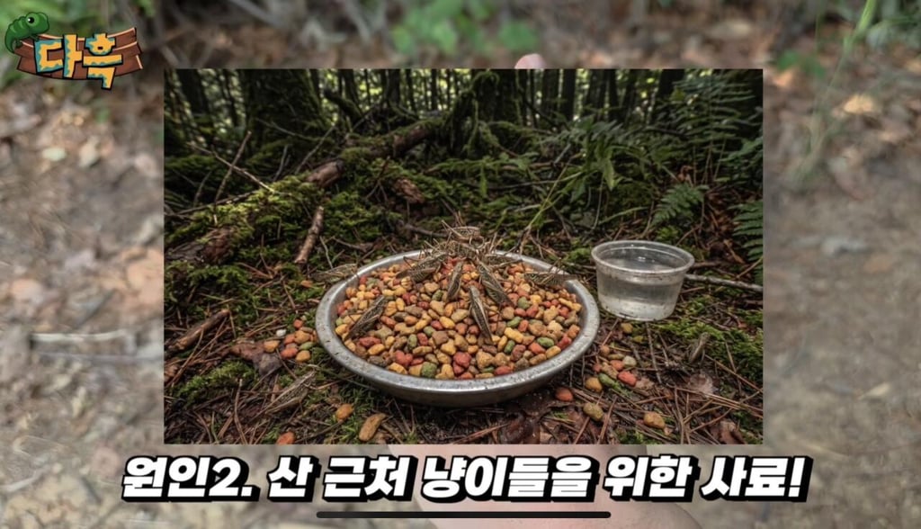 해충 갈색여치 확산 원인 1