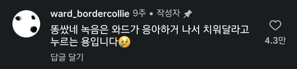 똥싸는 주인을 본 강아지 반응
