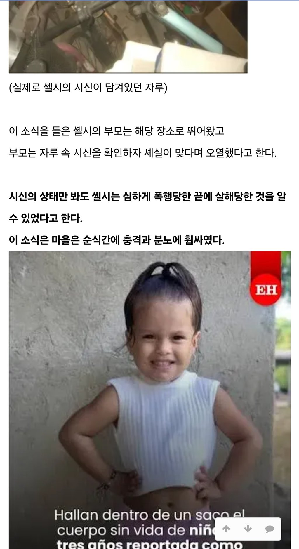 밍게오 마을 3세 여아 살인사건 8