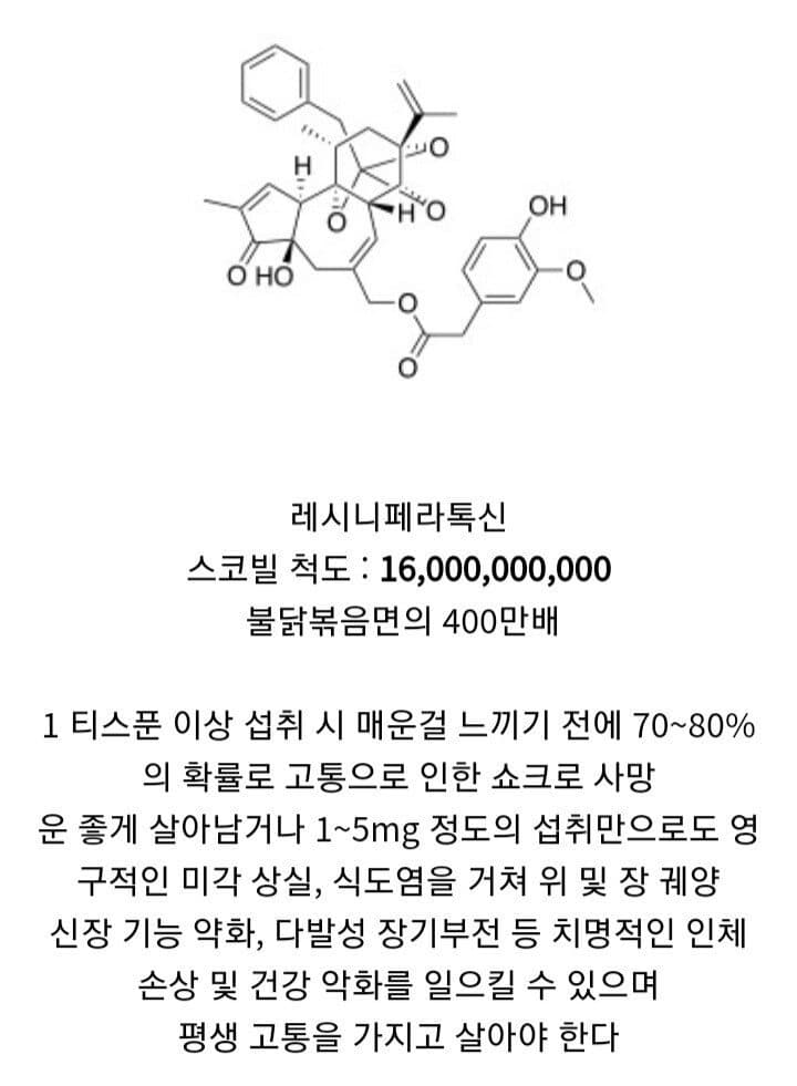 먹는순간 죽음까지 이르는 매운 물질 1