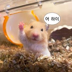 규정에 따라 삭제 처리된 게시글입니다.