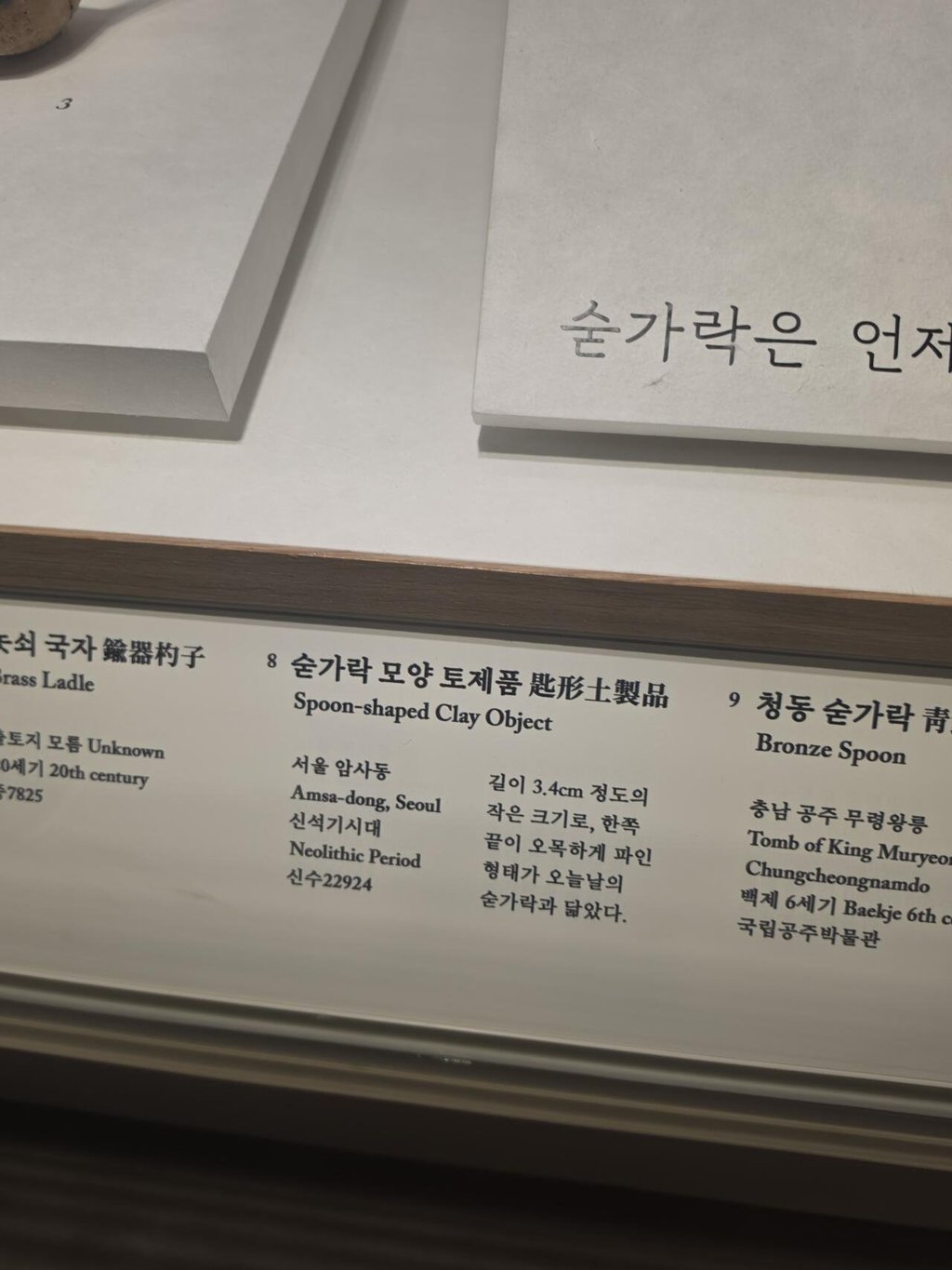 석기시대 우가우가들은 더럽게 안씻은 손으로 먹고도 어떻게 멀쩡함?" 3