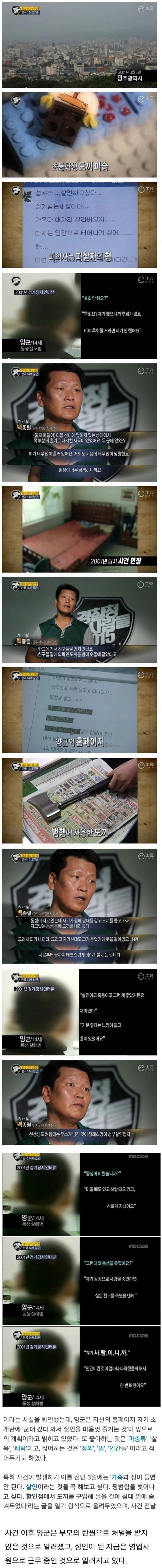 재미삼아 친동생 목 내려친 14살 소년