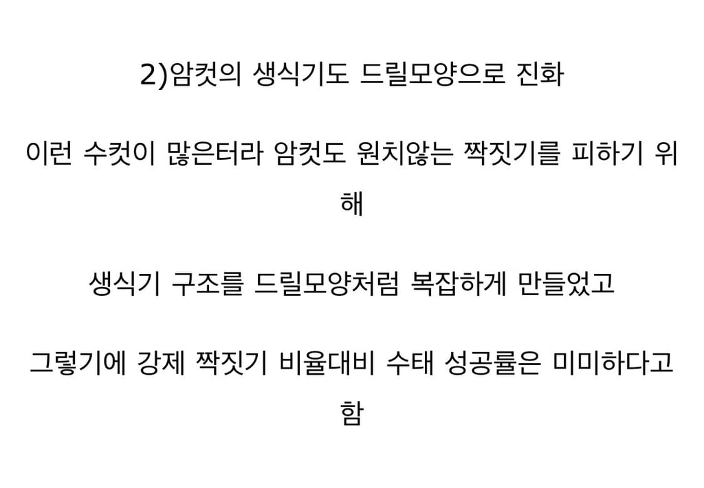 부러운?? 오리 거시기 3